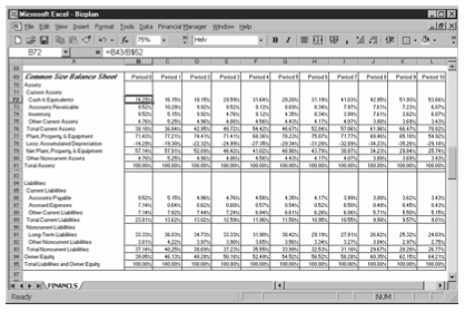Figure 10-3. The Common Size Balance Sheet portion of the business planning starter workbook.