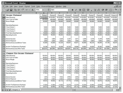 Figure 10-4. The Income Statement and Common Size Income Statement areas of the business planning starter workbook.