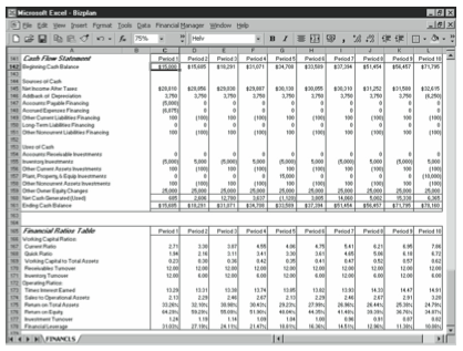 Figure 10-5. The Cash Flow Statement and Financial Ratios Table areas of the business planning starter workbook.
