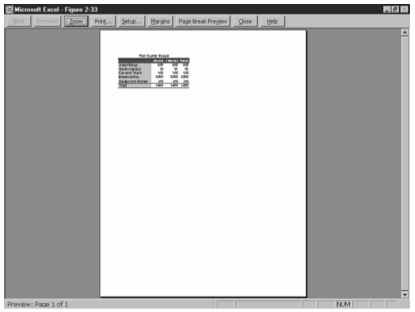 Figure 2-36. The Print Preview window.